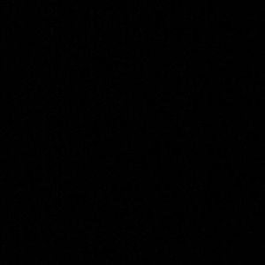 Meet your Posher, Nicky